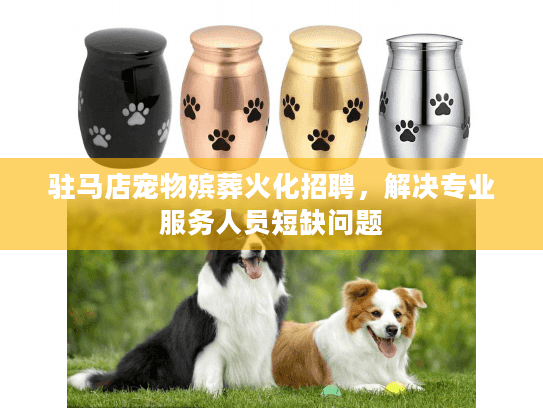 驻马店宠物殡葬火化招聘，解决专业服务人员短缺问题