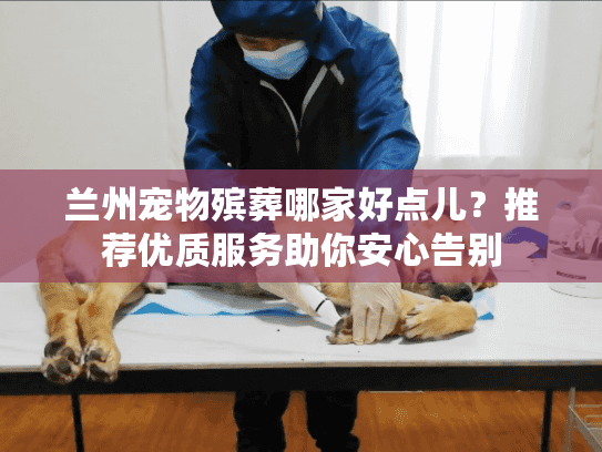 兰州宠物殡葬哪家好点儿？推荐优质服务助你安心告别