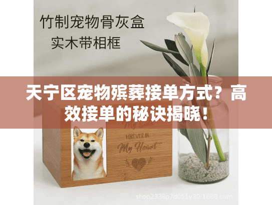 天宁区宠物殡葬接单方式？高效接单的秘诀揭晓！