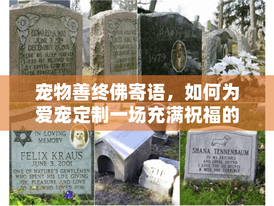 宠物善终佛寄语，如何为爱宠定制一场充满祝福的告别仪式？