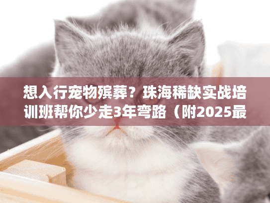 想入行宠物殡葬？珠海稀缺实战培训班帮你少走3年弯路（附2025最新案例）