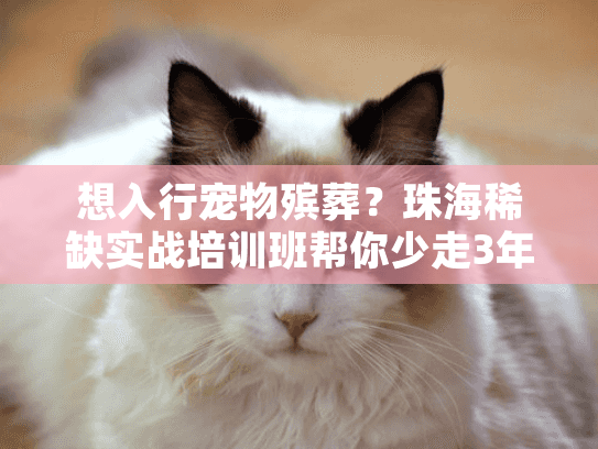 想入行宠物殡葬？珠海稀缺实战培训班帮你少走3年弯路（附2025最新案例）