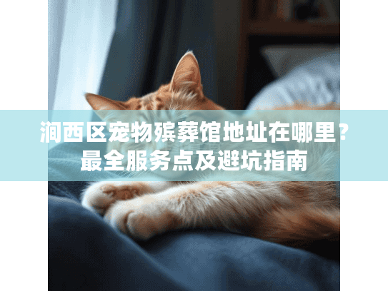 涧西区宠物殡葬馆地址在哪里？最全服务点及避坑指南