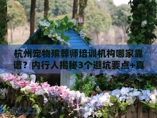 杭州宠物殡葬师培训机构哪家靠谱？内行人揭秘3个避坑要点+真实服务案例