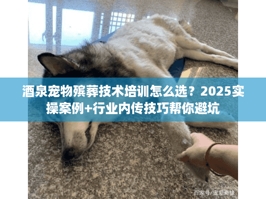 酒泉宠物殡葬技术培训怎么选?2025实操案例+行业内传技巧帮你避坑 酒泉宠物殡葬技术培训怎么选?2025实操案例+行业内传技巧帮你避坑