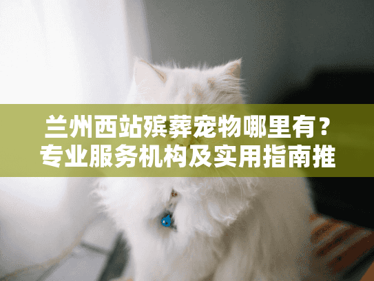 兰州西站殡葬宠物哪里有？专业服务机构及实用指南推荐