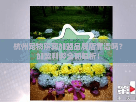 杭州宠物殡葬加盟品牌店靠谱吗？加盟利弊全面解析！