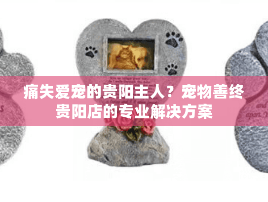 痛失爱宠的贵阳主人？宠物善终贵阳店的专业解决方案