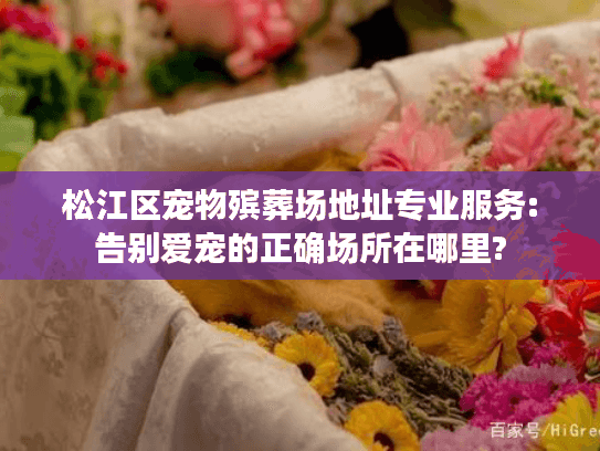 松江区宠物殡葬场地址专业服务:告别爱宠的正确场所在哪里?