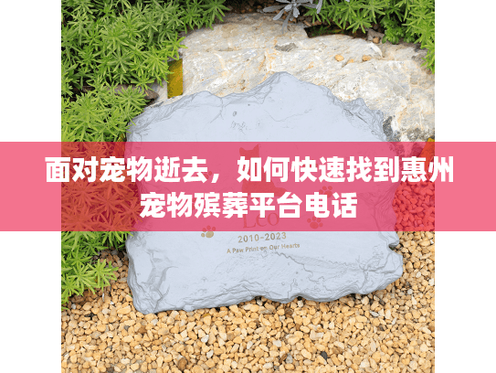面对宠物逝去，如何快速找到惠州宠物殡葬平台电话