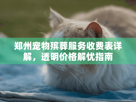 郑州宠物殡葬服务收费表详解，透明价格解忧指南