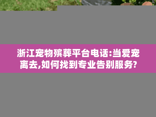 浙江宠物殡葬平台电话:当爱宠离去,如何找到专业告别服务?