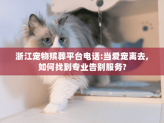 浙江宠物殡葬平台电话:当爱宠离去,如何找到专业告别服务?