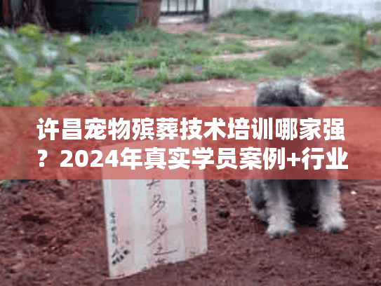 许昌宠物殡葬技术培训哪家强？2024年真实学员案例+行业内幕大揭秘