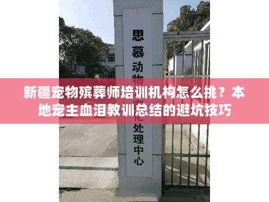 新疆宠物殡葬师培训机构怎么挑?本地宠主血泪教训总结的避坑技巧 新疆宠物殡葬师培训机构怎么挑?本地宠主血泪教训总结的避坑技巧