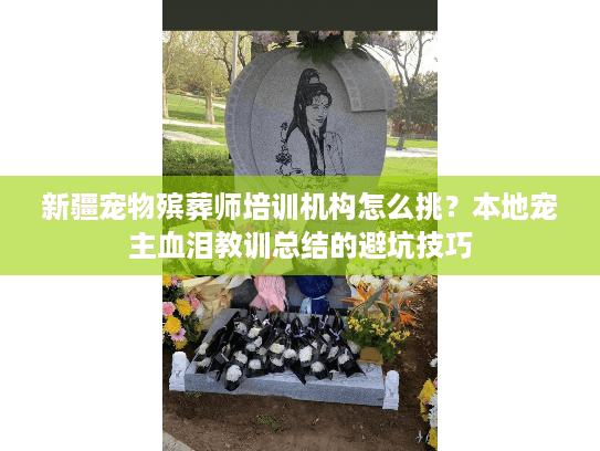 新疆宠物殡葬师培训机构怎么挑?本地宠主血泪教训总结的避坑技巧 新疆宠物殡葬师培训机构怎么挑?本地宠主血泪教训总结的避坑技巧