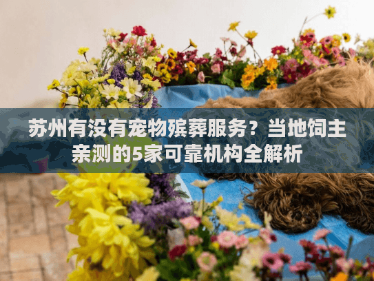 苏州有没有宠物殡葬服务？当地饲主亲测的5家可靠机构全解析