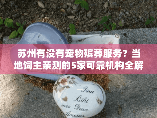 苏州有没有宠物殡葬服务？当地饲主亲测的5家可靠机构全解析