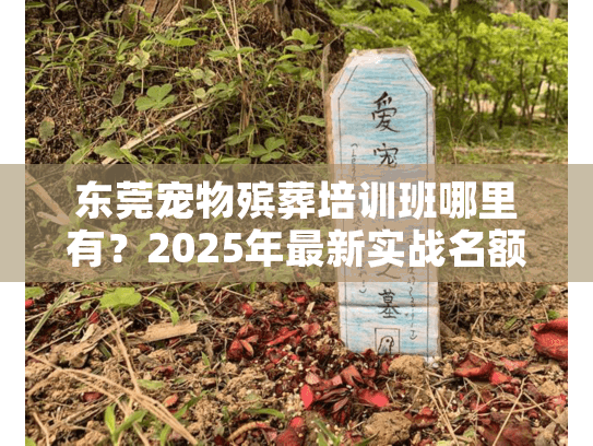东莞宠物殡葬培训班哪里有？2025年最新实战名额仅剩10席！