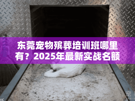 东莞宠物殡葬培训班哪里有？2025年最新实战名额仅剩10席！
