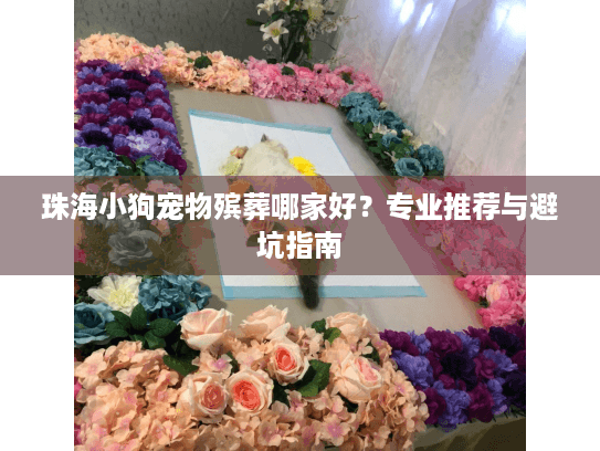 珠海小狗宠物殡葬哪家好？专业推荐与避坑指南