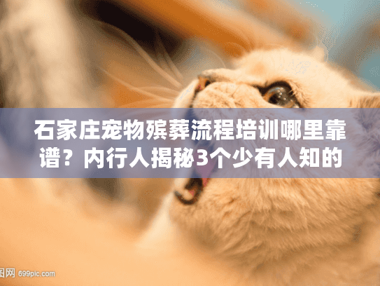 石家庄宠物殡葬流程培训哪里靠谱？内行人揭秘3个少有人知的实战技巧