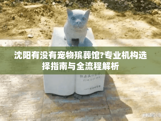 沈阳有没有宠物殡葬馆?专业机构选择指南与全流程解析
