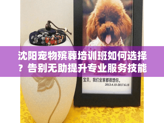 沈阳宠物殡葬培训班如何选择？告别无助提升专业服务技能