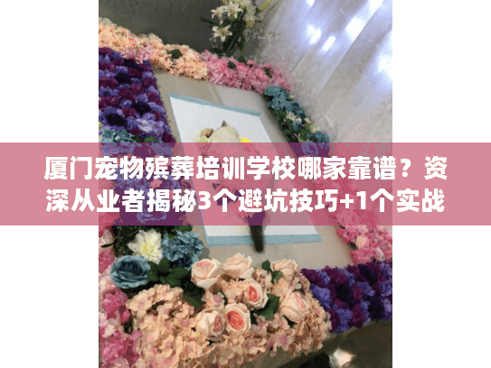 厦门宠物殡葬培训学校哪家靠谱？资深从业者揭秘3个避坑技巧+1个实战案例