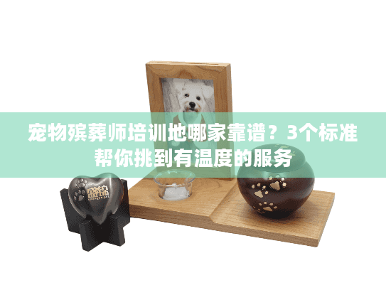 宠物殡葬师培训地哪家靠谱？3个标准帮你挑到有温度的服务