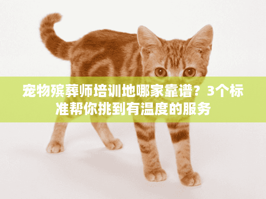 宠物殡葬师培训地哪家靠谱？3个标准帮你挑到有温度的服务