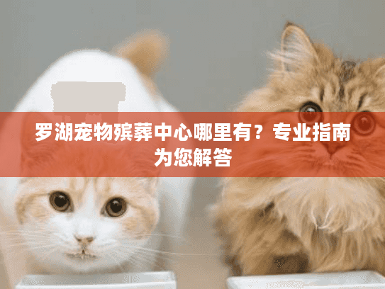 罗湖宠物殡葬中心哪里有？专业指南为您解答