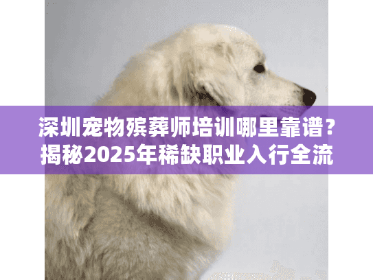 深圳宠物殡葬师培训哪里靠谱?揭秘2025年稀缺职业入行全流程 深圳宠物殡葬师培训哪里靠谱?揭秘2025年稀缺职业入行全流程