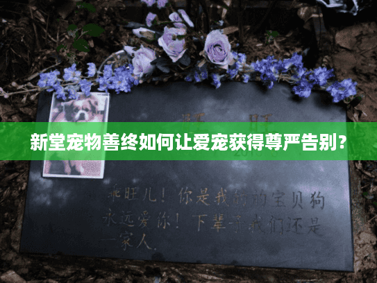 新堂宠物善终如何让爱宠获得尊严告别？