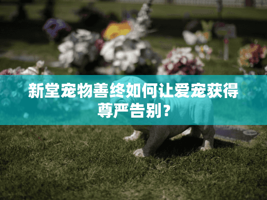 新堂宠物善终如何让爱宠获得尊严告别？