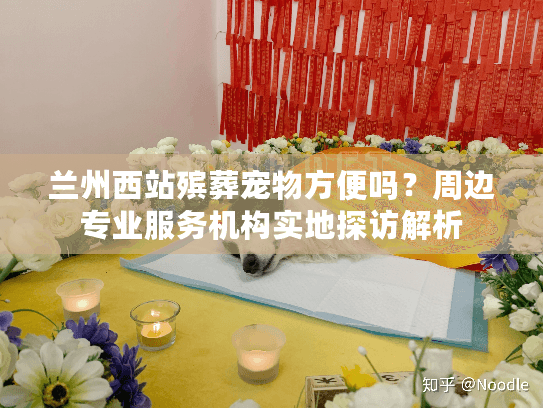 兰州西站殡葬宠物方便吗？周边专业服务机构实地探访解析