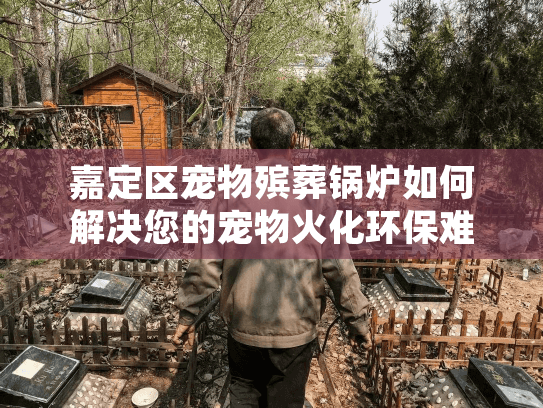 嘉定区宠物殡葬锅炉如何解决您的宠物火化环保难题？