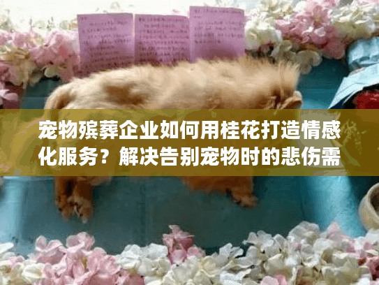 宠物殡葬企业如何用桂花打造情感化服务？解决告别宠物时的悲伤需求