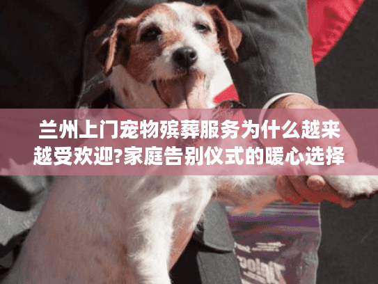 兰州上门宠物殡葬服务为什么越来越受欢迎?家庭告别仪式的暖心选择