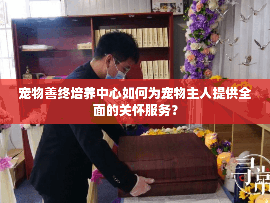 宠物善终培养中心如何为宠物主人提供全面的关怀服务？