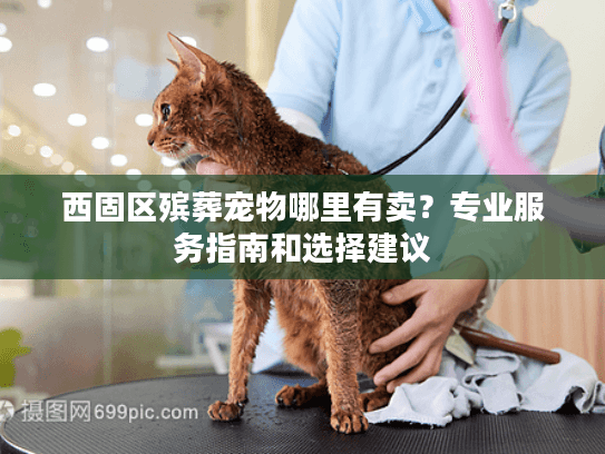 西固区殡葬宠物哪里有卖？专业服务指南和选择建议
