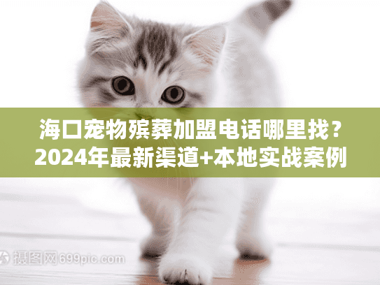 海口宠物殡葬加盟电话哪里找？2024年最新渠道+本地实战案例揭秘