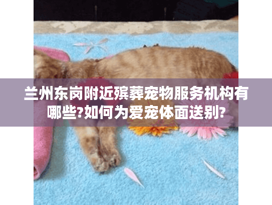 兰州东岗附近殡葬宠物服务机构有哪些?如何为爱宠体面送别?