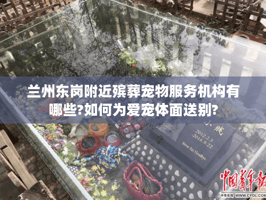 兰州东岗附近殡葬宠物服务机构有哪些?如何为爱宠体面送别?