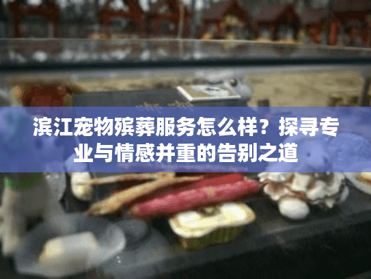 滨江宠物殡葬服务怎么样？探寻专业与情感并重的告别之道
