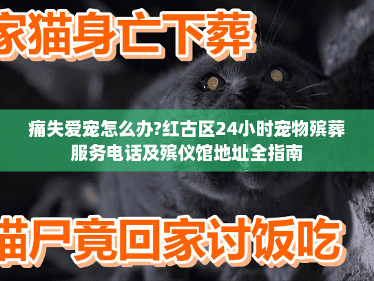 痛失爱宠怎么办?红古区24小时宠物殡葬服务电话及殡仪馆地址全指南