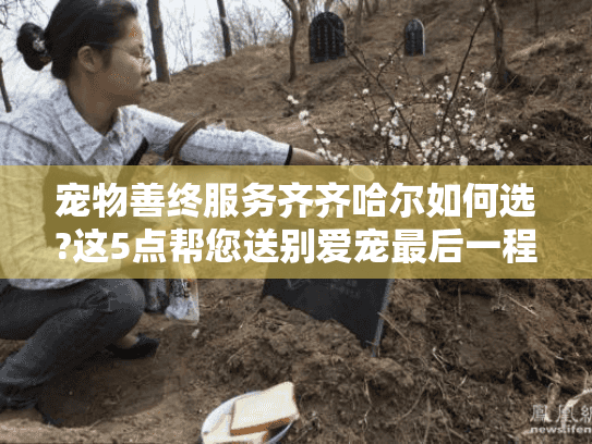 宠物善终服务齐齐哈尔如何选?这5点帮您送别爱宠最后一程