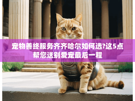 宠物善终服务齐齐哈尔如何选?这5点帮您送别爱宠最后一程