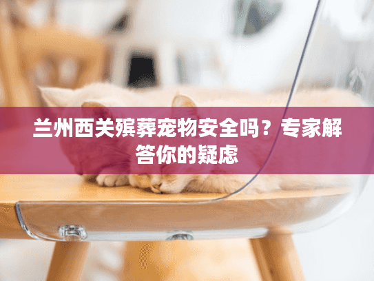 兰州西关殡葬宠物安全吗？专家解答你的疑虑
