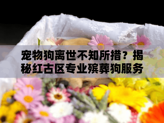 宠物狗离世不知所措？揭秘红古区专业殡葬狗服务流程